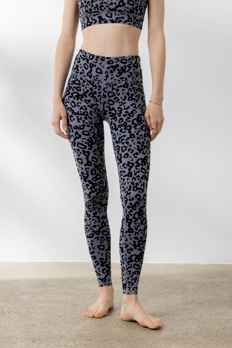 Distorted Animal Magnet Set | Hey Honey & Active Wear